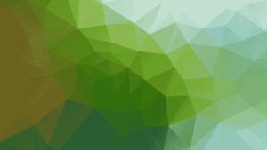 zelfacceptatie-coaching