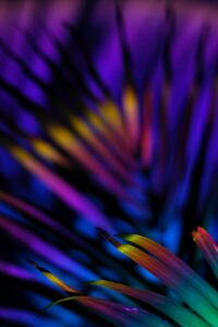 lifecoaching-zelfvertrouwen-in-den-bosch